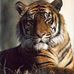 Michael McMillin - Facebook