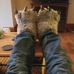 Mike McNelis - @mcnelismike - Instagram