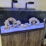 Mike Mehr - @aquaturbo911 - Instagram