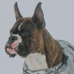 Mike Melton - @mike_melton637 - Instagram