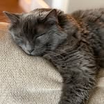 Mike Merrell - @merrmich - Instagram