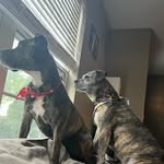 Mike Meyer - @dudekaboom - Instagram