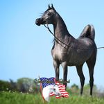 Mike Meyer - @mike.meyer.7509 - Instagram