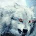 Mike Middaugh - Facebook
