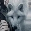 Mike Middaugh - @shadowwolf9960 - TikTok