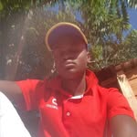 Mike Mikhail - @turtle.81837 - Instagram