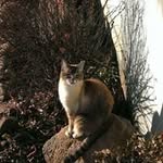 Mike Milburn - @milburn.mike - Instagram
