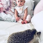 Mike Milford - @mikemilford01 - Instagram