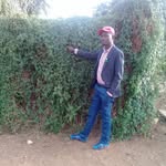 Mike Milford Ncube - @mikemilfordncube - Instagram