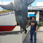 Mike Militello - @militellomike - Instagram