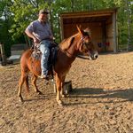 Mike Misuraca - @ole_nutty - Instagram