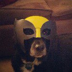 @mike_moats - Instagram