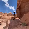 Mike Moise - @the_traveling_maestro - TikTok