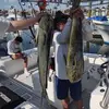 mikemolinaro158 - @mikemolinaro158 - TikTok