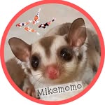 𓇼 𝕄𝕚𝕜𝕖𝕞𝕠𝕞𝕠 𓇼 - @__mikemomo - Instagram