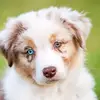Mike _momo - @mike._momo - TikTok
