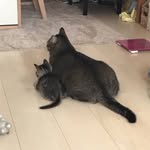 @mikemomo.184065 - Instagram