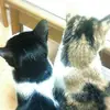 mikemomo - @mikemomo67 - TikTok