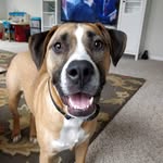 Mike Moritz - @mudhens23 - Instagram