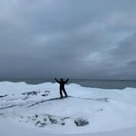 Mike Morrell - @phishwi - Instagram