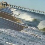 Mike Mosca - @tfingermike57.mm - Instagram