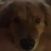 user5696271121392 - @mikemosca - TikTok