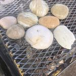 Mike L. Mosher - @halfrocks1 - Instagram