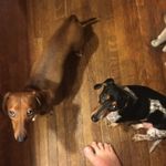 Mike Mosher - @mikemosh66 - Instagram