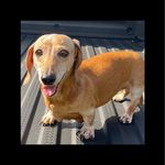 Mike Mosman - @mike.mosman.58 - Instagram