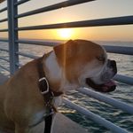 Mike Moye - @moye366 - Instagram