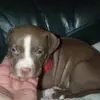 mikemoye635 - @mikemoye635 - TikTok