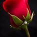 Michael Mullaly - Facebook