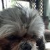 Michael Murphree - Facebook