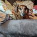 Mike Murrell - Facebook