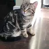 Mike Murrell - @mike.murrell5 - TikTok