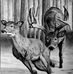 Mike Murrell - Facebook