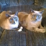 Mike Nagel - @mike.nagel.121 - Instagram