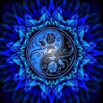 Mike Nappa - Facebook