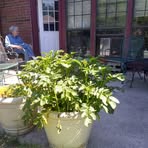 Mike Nappa - Facebook