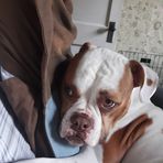 Mike Nay - Facebook