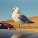 Mike Needham - @digitally_challenging - Instagram