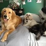 Mike Nelsen - @mnelsen123 - Instagram