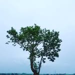 Mike Neumann - @mike_neumann_20 - Instagram