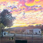 Mike Newcombe - @newcombe4344 - Instagram