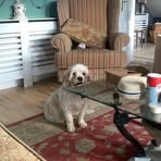 Mike Nicholson - Facebook
