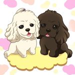 はまあかね♡まいにこママ - @mike_nicole.816 - Instagram