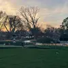Mike Nicolas - @mike.nicolas80 - TikTok