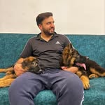 MIKE AND NIKE - @mike_nike_the_shepherds_ - Instagram