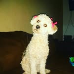ashley - @miken_ix - Instagram