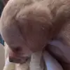 mikenix 😸 - @mikenix77 - TikTok